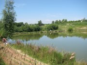 IMG_2439.JPG