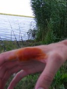 DSCF9411.jpg