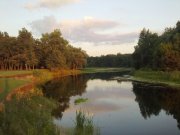 Псёл0104.jpg