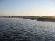 IMG_3029.jpg