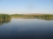 IMG_3031.jpg