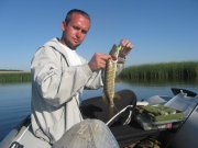 IMG_3034.jpg