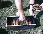 IMG0048A.jpg