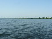 P1190290.JPG