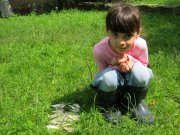 IMG_0726.jpg