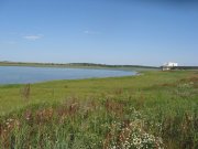 IMG_3035.jpg