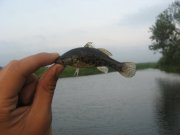 IMG_2677[1].JPG