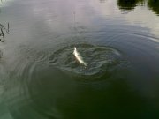 170720111487.jpg