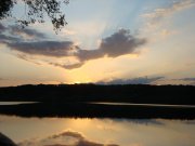 DSC02840.jpg