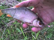 DSC00470.JPG