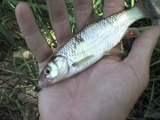 DSC00378.JPG