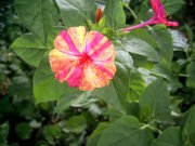 PIC_0228.jpg