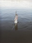 SDC15298.jpg