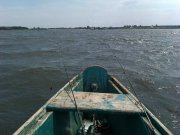 IMAG0448.jpg