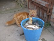 IMG_2461.jpg