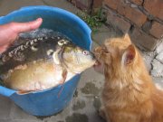 IMG_2464.jpg