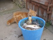 IMG_2462.jpg