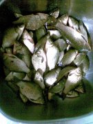 27.07.2011.jpg