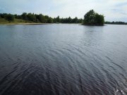 DSCN0011.jpg