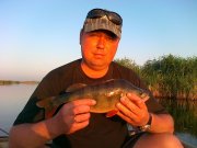 30072011161.jpg