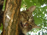 DSC00368.jpg