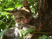 DSC00357.jpg