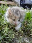 DSC00330.jpg