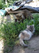 DSC00325.jpg