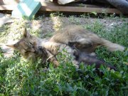 DSC00327.jpg