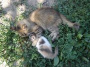 DSC00329.jpg