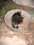IMAG0089.jpg