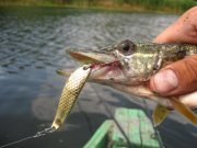 IMG_4080.jpg