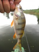 IMG_4079.jpg