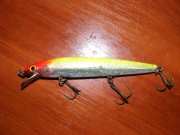 DSCF9513.jpg