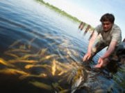 Харьков.-Гибель-рыбы.-1.jpg