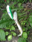 IMG_3249.jpg