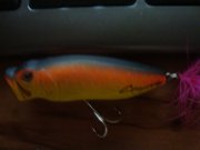 DSC08076.jpg