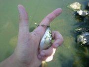 07082011598.jpg