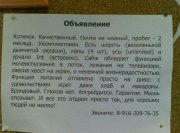 1312958375_podborka_67.jpg