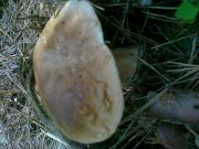 09072011131.jpg