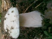 09072011132.jpg