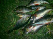 08082011157.jpg