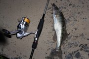 IMG_5128.jpg