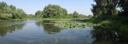 Панорама 8.jpg