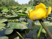 IMG_0468.jpg