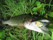 IMG_0452.jpg
