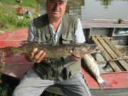 IMG_0038.jpg