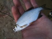 IMG_1030.jpg