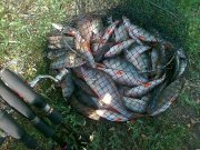 13082011168.jpg