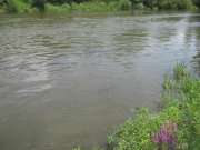 Изменение размера IMG_3749.jpg